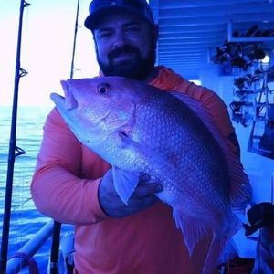 Meet your Posher, Jeremy